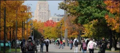 Quelle ville est surnommée "the Motor City" ?