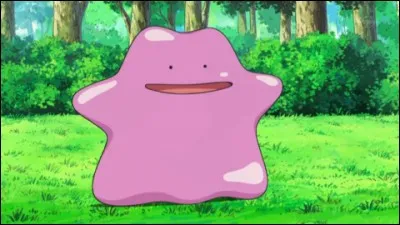 Quel est le nom anglais de Métamorph ?