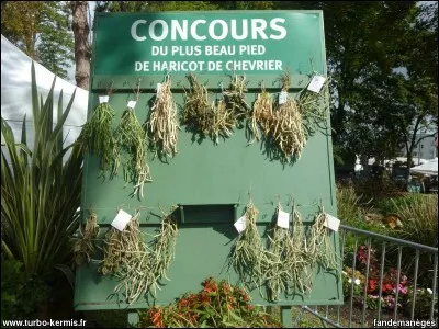Revenons dans ce fleuron de la gastronomie française, à la Foire aux Haricots !