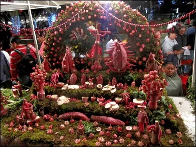 Où pouvez-vous célébrer la Nuit des Radiz, pardon, des Radis ?