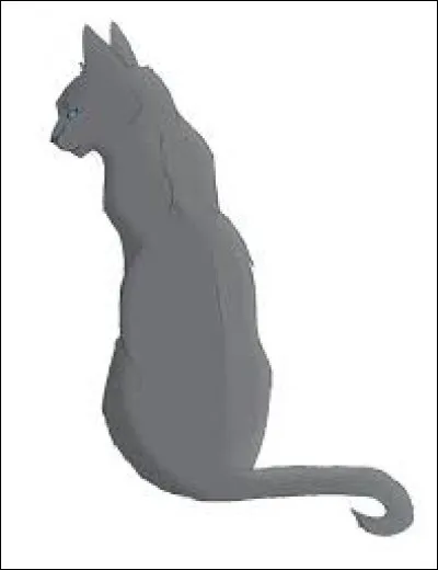 Qui est le meilleur ami de Plume Grise ?