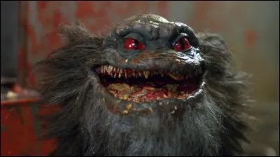 Les "Critters" sont les petits monstres du film éponyme, réalisé en 1986. Ils sont petits, poilus et leur appétit n'a aucune limite. Mais d'ou viennent-ils ?
