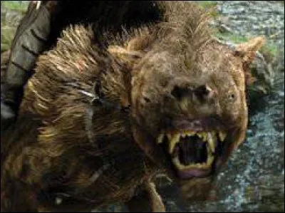 Comment se nomment ces créatures, chevauchées par des orques dans la saga du "Hobbit" ?