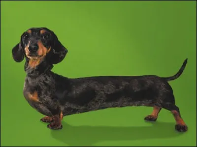 Quelle est celle-ci ?