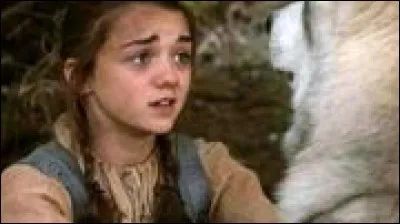 Qui sont les frères cadets de Arya Stark ?