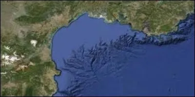 Le ____ du Lion est une partie de la mer Méditerranée.