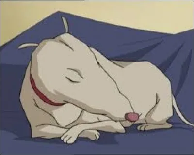 Comment s'appelle le chien d'Odd ?