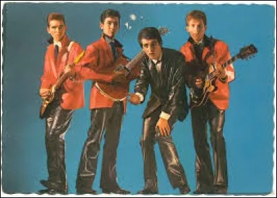 Eddy Mitchell fut le chanteur du groupe Les Chats sauvages.