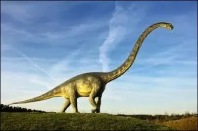 Le dinosaure présenté sur l'image est un diplodocus.