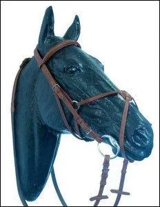 Comment s'appelle cette muserolle ?