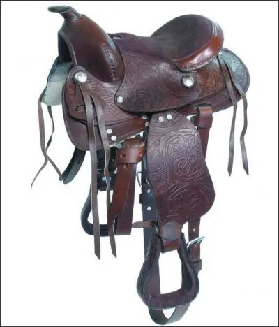 Comment s'appelle cette selle ?