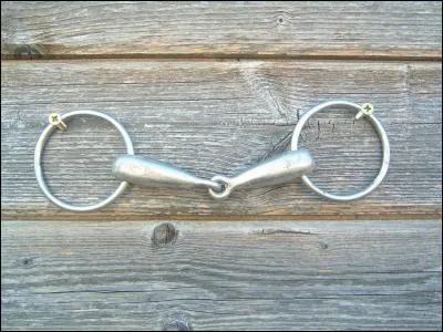 Comment appelle-t-on ce mors ?