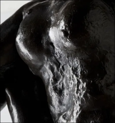 Si je vous dis : « Se rétracte quand on fait toute la lumière », vous répondez :