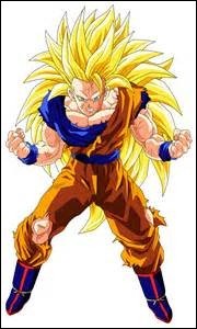 Quiz Dragon ball