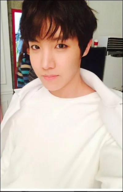 Quelle est sa couleur préférée ?