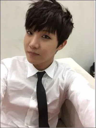 Sa nourriture préférée est :