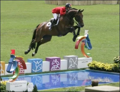 Quel est le nom de ce saut d'obstacle ?