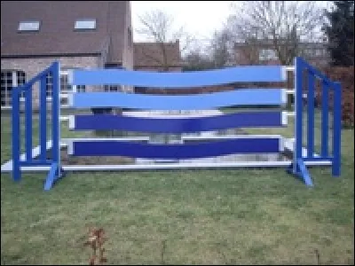 Quel est le nom de ce saut d'obstacle ?