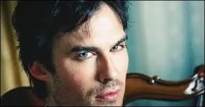 Où s'est retrouvé Damon quand il était coincé dans la pierre de Phoenix ?