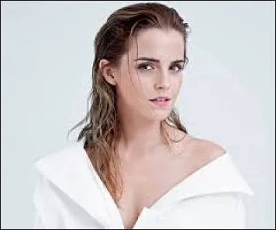 Comment s'appelle l'actrice qui incarne le rôle d'Hermione Granger ?