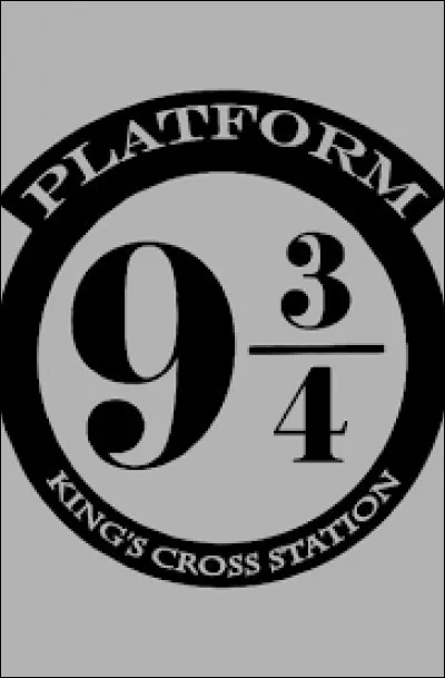 Combien d'années se passe-t-il entre la bataille de Poudlard et le plan suivant dans la gare ?