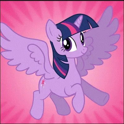 Twilight est la ---- princesse d'Equestria.