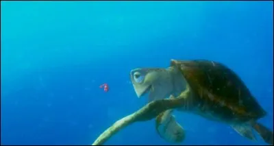 Comment s'appelle cette vieille tortue de 150 ans qui apprend au poisson-clown du &laquo; Monde de Nemo &raquo; qu'&ecirc;tre trop protecteur n'est pas ce qu'il y a de mieux ?