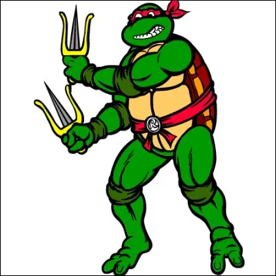 Comment s'appelle cette tortue ?