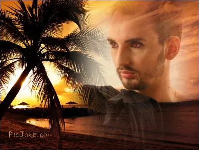 Quel chanteur a comme surnom &laquo; La Tortue &raquo;, donn&eacute; par Marianne James en r&eacute;f&eacute;rence &agrave; sa fa&ccedil;on de se tenir et son pull &agrave; rayures vertes ?