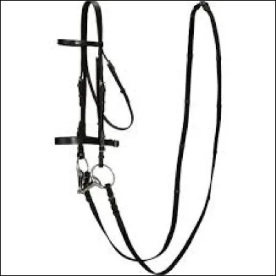 Quelle partie du filet n'existe pas ?