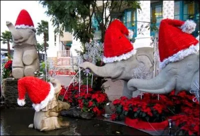 Venez passer Noël chez eux, et goûter à leur célèbre Tom Yam Kung, très apprécié des occidentaux !