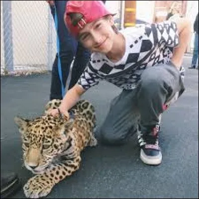 Quel animal a-t-il chez lui ?