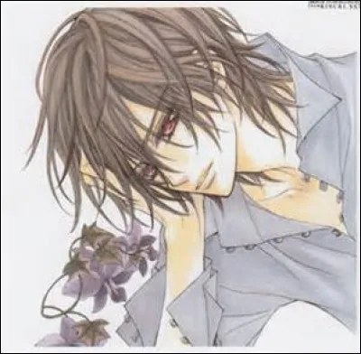 Que représente Kaname pour Yuki dans l'arbre généalogique des Kuran ?