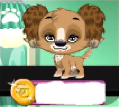 Combien coûte ce Boonster ?