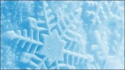 Laquelle de ces actions du corps ne fait pas partie de la thermogenèse de la vache ?