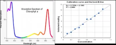 L'absorbance peut-elle être négative ?