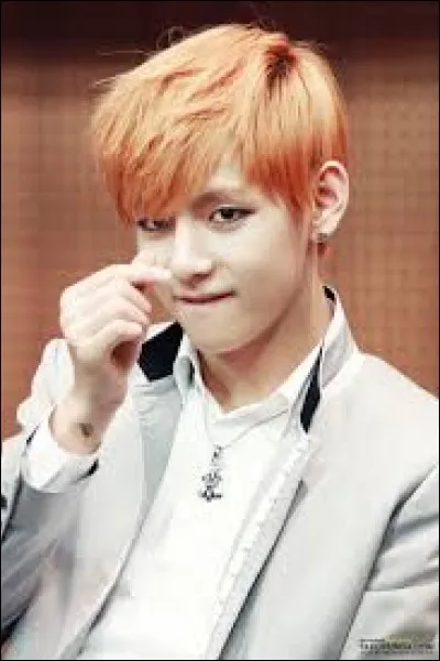 Comment surnomme-t-on V ?