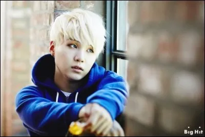 Quel âge a Suga ? (2016)