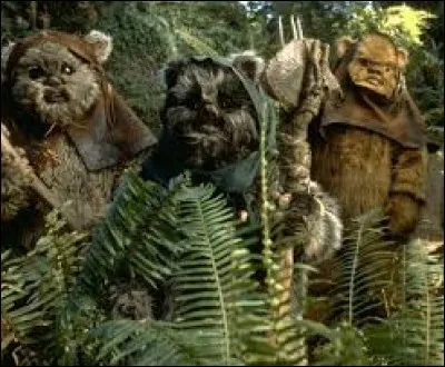 Continuons avec "Star Wars". J'imagine que vous avez déjà vu au moins un des films. Même si ce n'est pas le cas, ma question ne va pas porter sur l'un d'eux mais plutôt sur ces sympathiques créatures poilus qu'on appelle les Ewoks. Apparus pour la première fois dans "Star Wars : Le Retour du Jedi", ils vivent sur la planète Endor et utilisent un langage qui mélangent deux langues. Lesquelles ?