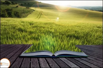 Comment étaient "les années" de Cronin ?