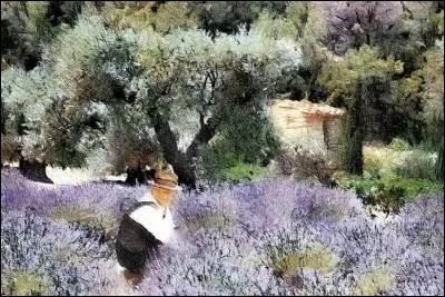 Il est de retour, voici les paroles d'une chanson de son dernier album : "Depuis quelques années, je me suis éloigné, je vis dans les lavandes, sous les oliviers...". Qui est l'interprète ?