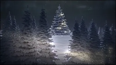 Quelle année commence le 1er dimanche de l'avent ?