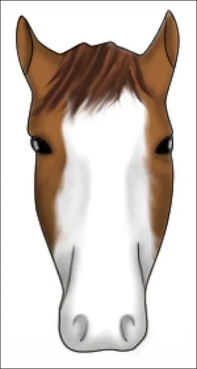 Comment appelle-t-on ceci ?