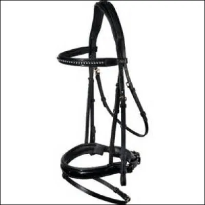 Comment appelle-t-on ceci ?