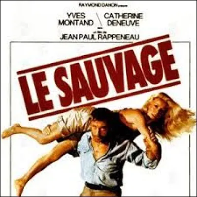 Durant quelle décennie est sorti le film "Le Sauvage" ?