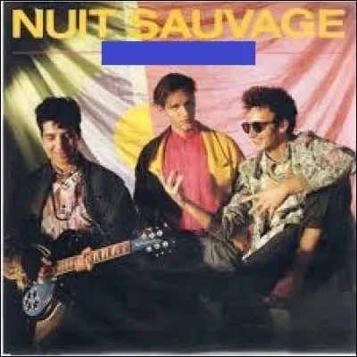 Quel groupe a chanté "Nuit sauvage" en 1985 ?