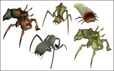 Dans quelle catégorie sont les Antlions ?