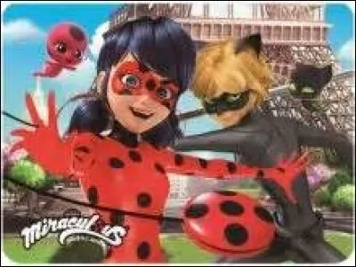 Comment Ladybug et Chat Noir ont-ils eu leurs miraculous ?
