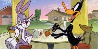 Quel est le nom du dessin animé où Bugs Bunny et Daffy Duck cohabitent ?