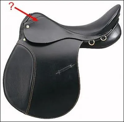 Comment s'appelle cette partie de la selle ?